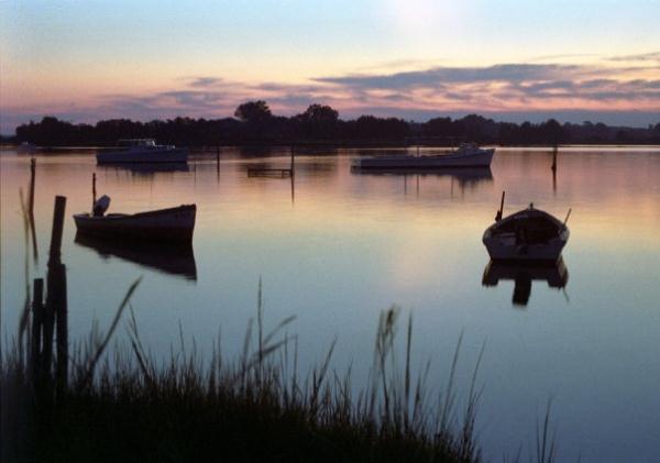 Oyster boats at Simonson's Landing.