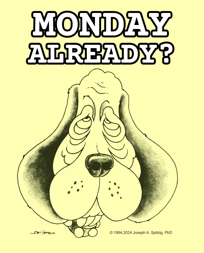 A droopy dog-face cartoon with the heading: Monday already?